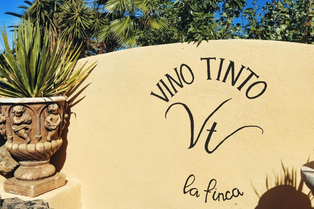 Finca Vino Tinto 4 Icod De Los Vinos Luaran gambar